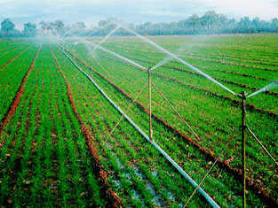 滴水流量小，缓慢入渗，主要借助毛管张力作用扩散，是***为节水和有效的种灌溉方式之一