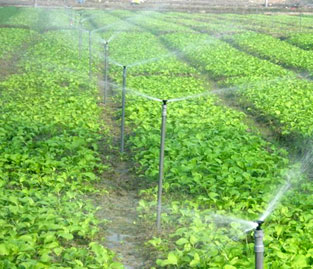 用于所有作物、埋地式滴灌系统、山地及坡地滴灌系统、温室苗圃脉冲式滴灌